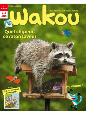 Wakou + Hors-séries