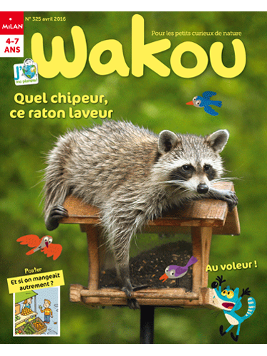 Wakou + Hors-séries