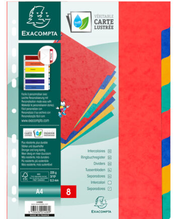 Dividers - A4 - Pack of 2