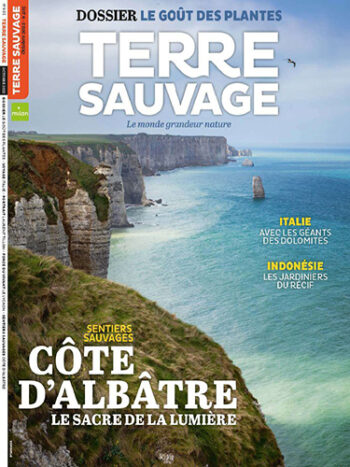 Terre Sauvage