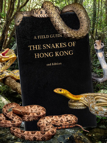A field guide to the snakes of Hong Kong, 2nd edition