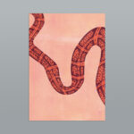 Slithering Snakes - Set de 6 cartes postales A6