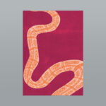 Slithering Snakes - Set de 6 cartes postales A6