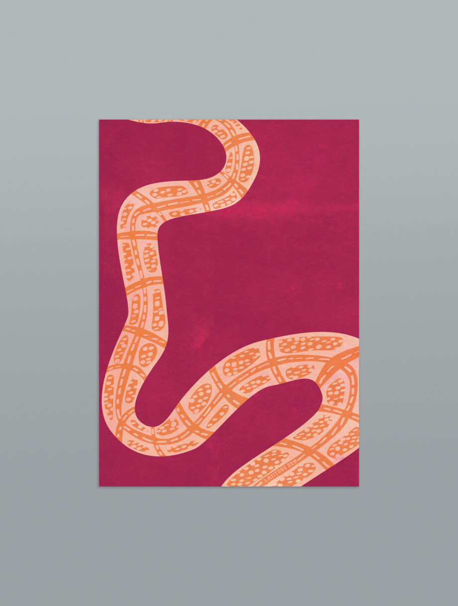 Slithering Snakes - Set de 6 cartes postales A6
