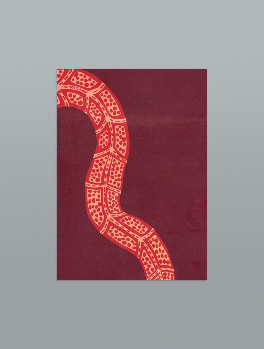 Slithering Snakes - Set de 6 cartes postales A6