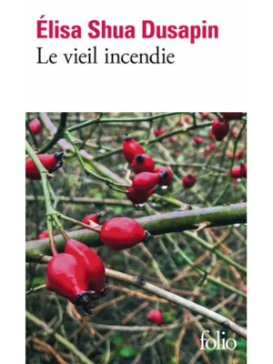 Le vieil incendie