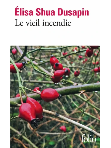 Le vieil incendie